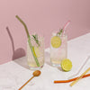 Sucker Reusable Glass Drinking Straws - Multi